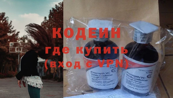 прущие грибы Осташков