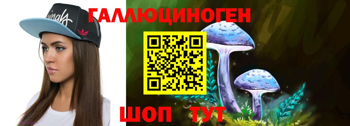 хочу   Вход с VPN  Старая Купавна  Галлюциногенные грибы MAGIC MUSHROOMS 