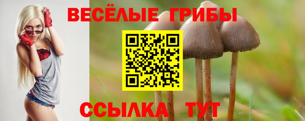 Галлюциногенные грибы мицелий Старая Купавна