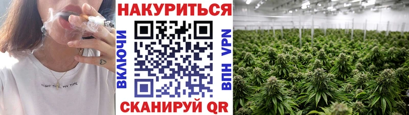 Шишки марихуана MAZAR Старая Купавна